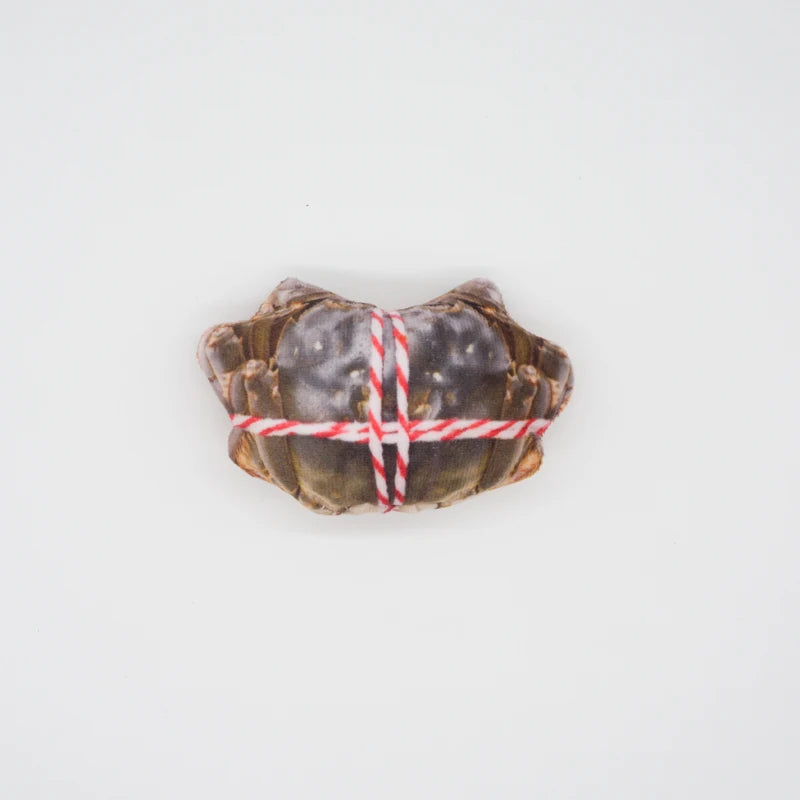 Funny Squeaky Dog Toys – Bite-Resistant Food-Shaped Toys for Small & Medium Dogs