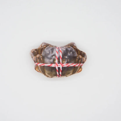 Funny Squeaky Dog Toys – Bite-Resistant Food-Shaped Toys for Small &amp; Medium Dogs