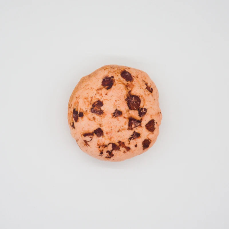 Funny Squeaky Dog Toys – Bite-Resistant Food-Shaped Toys for Small &amp; Medium Dogs