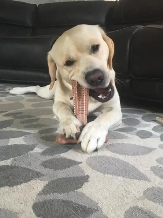 Durable Dog Chew Toy – Dental Care Toy for Puppies | Bamboo &amp; Rubber