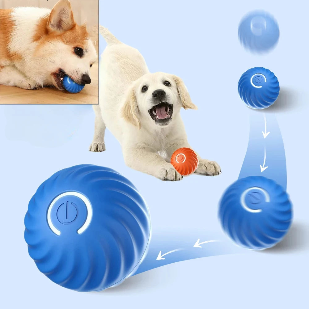 Smart Interactive Dog Ball – USB Rechargeable Auto-Rolling Toy for Puppies &amp; Dogs