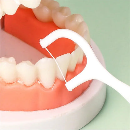 Portable Dental Floss Sticks – 50 Pcs Disposable Floss Picks | Oral Care