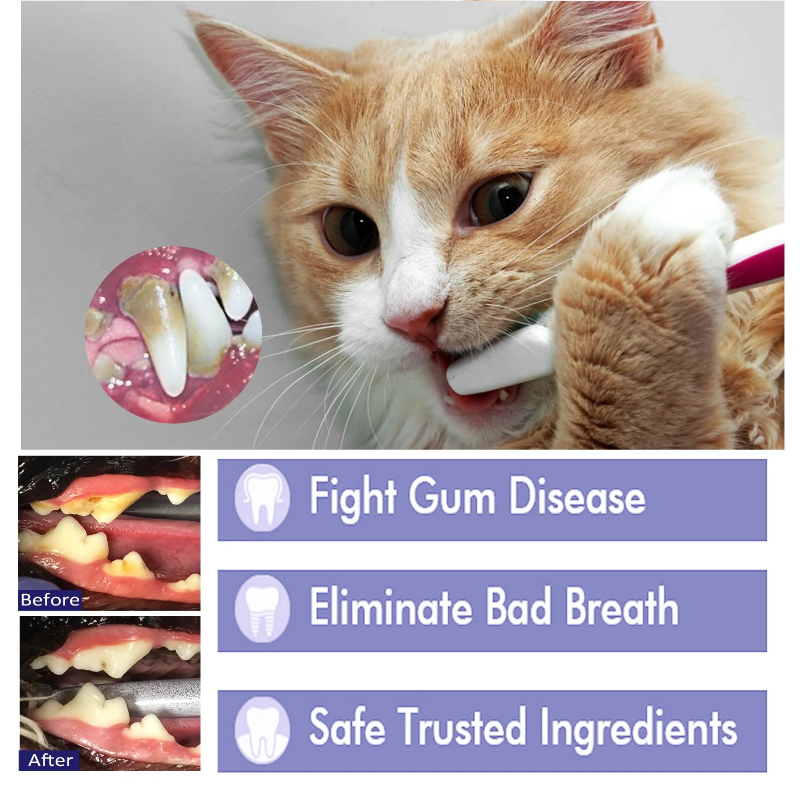Pet Whitening Toothpaste – Reduces Tartar & Removes Stains | Dog & Cat