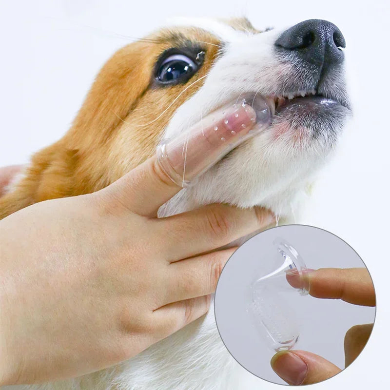 Silicone Finger Toothbrush for Dog &amp; Cat – Gentle Dental Care against Tartar