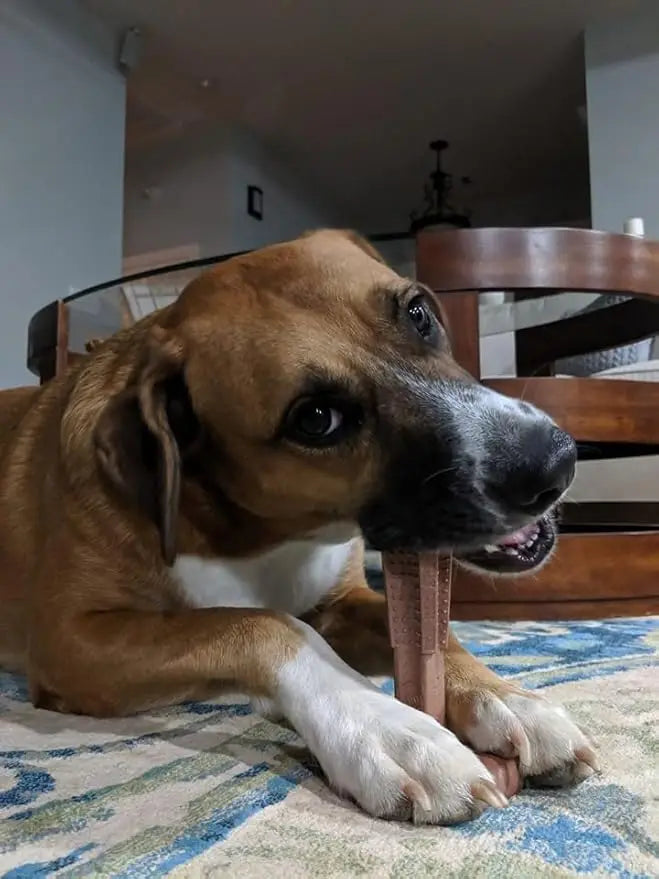 Durable Dog Chew Toy – Dental Care Toy for Puppies | Bamboo & Rubber