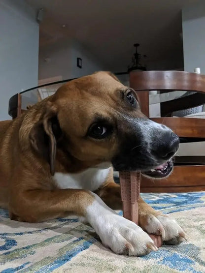 Durable Dog Chew Toy – Dental Care Toy for Puppies | Bamboo &amp; Rubber