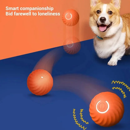 Smart Interactive Dog Ball – USB Rechargeable Auto-Rolling Toy for Puppies &amp; Dogs