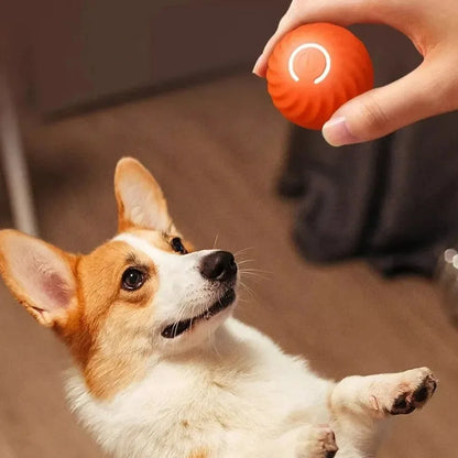 Smart Interactive Dog Ball – USB Rechargeable Auto-Rolling Toy for Puppies &amp; Dogs
