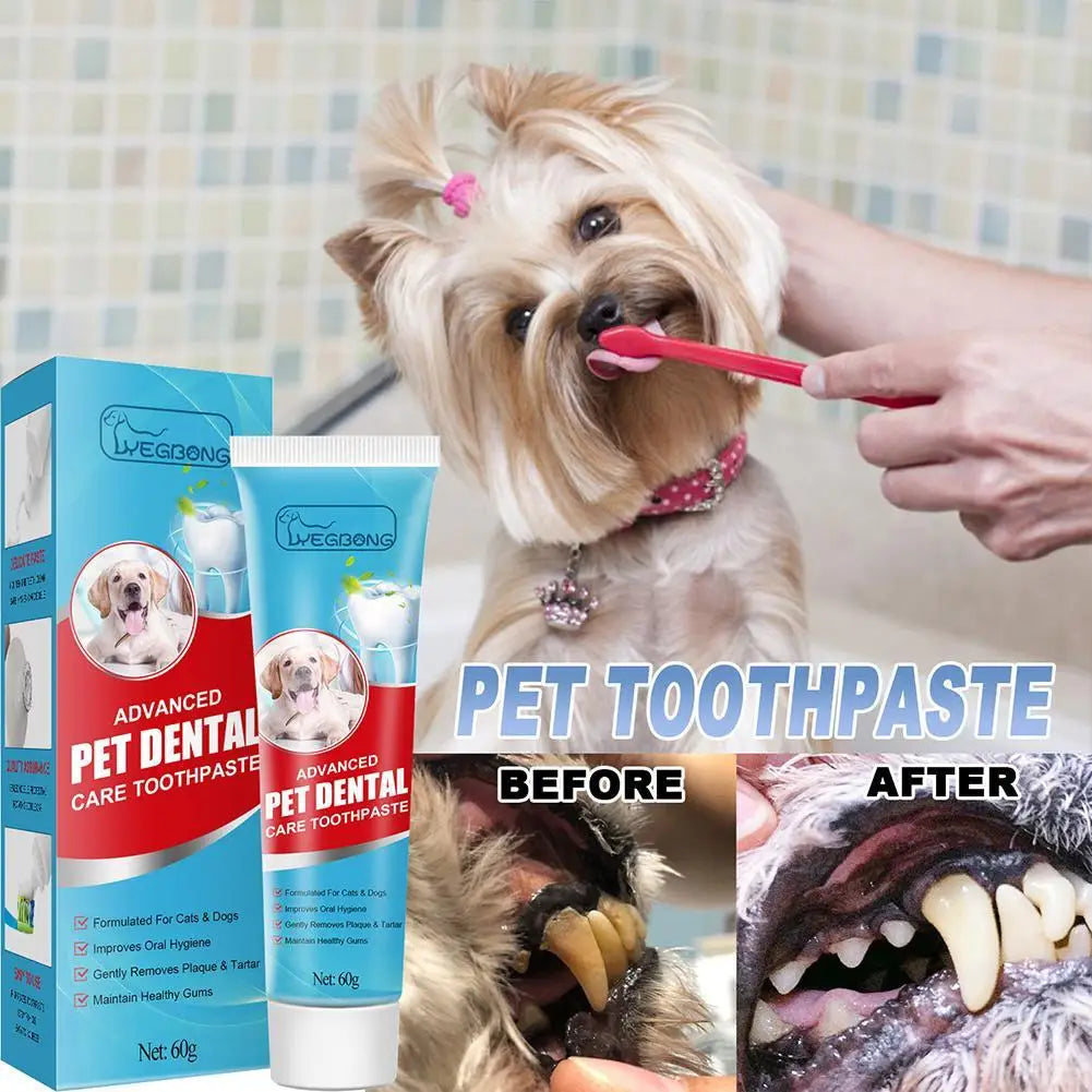 Edible Pet Toothpaste Gel 60g – Dental Care for Dog & Cat | Fresh Breath