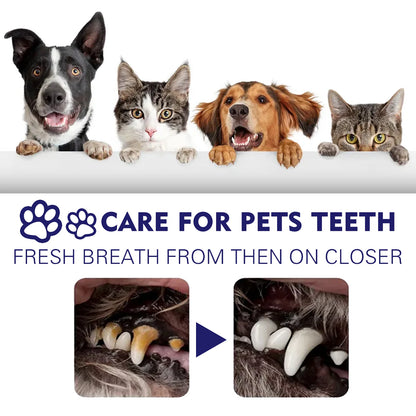 Pet Whitening Toothpaste – Reduces Tartar &amp; Removes Stains | Dog &amp; Cat